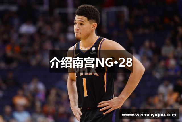 介绍南宫NG·28